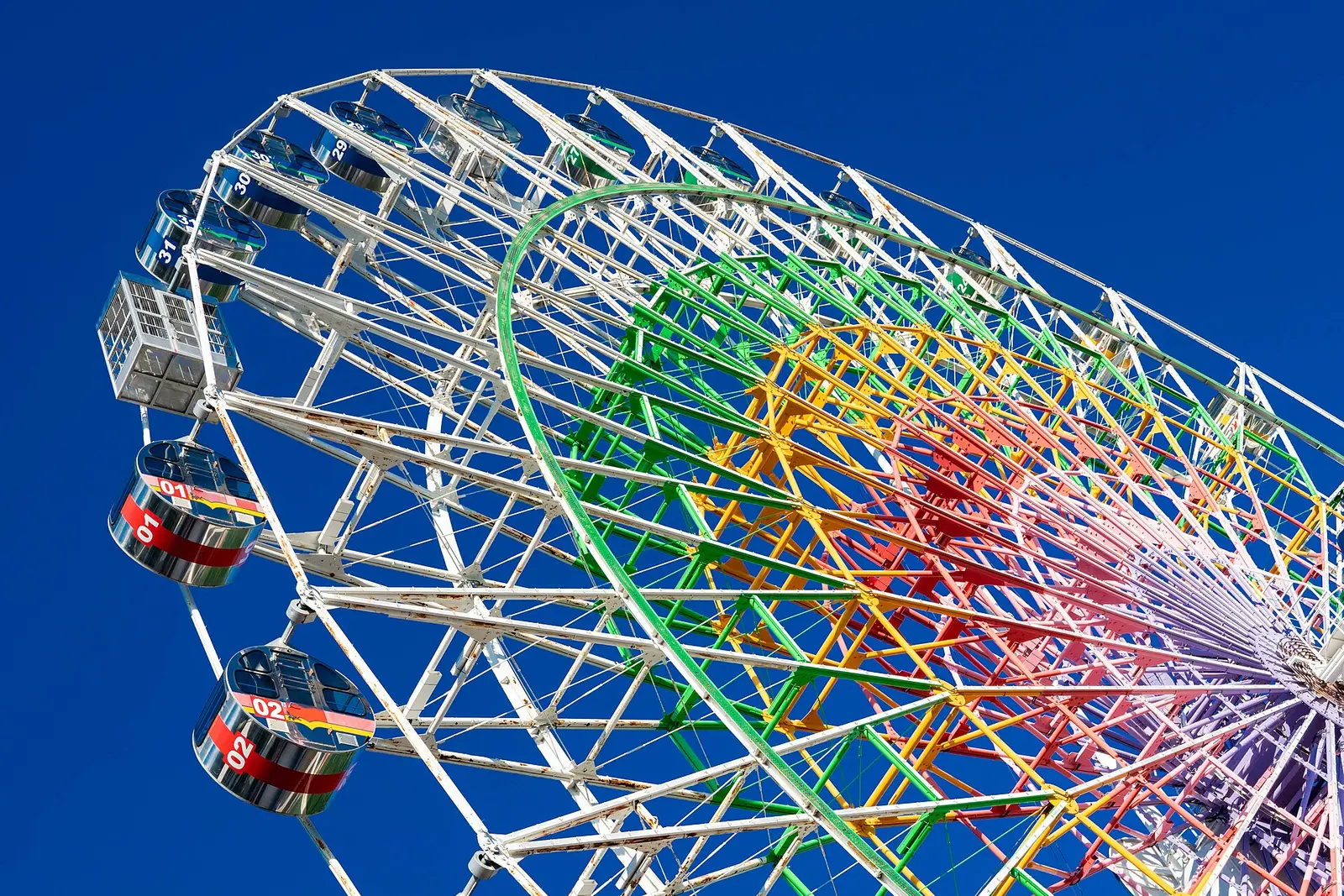 Shining Flower Ferris Wheel